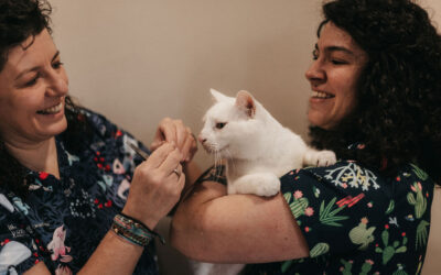 Vacunación sistemática Vs. Vacunación consciente