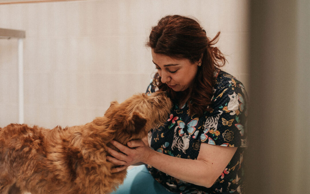 Los beneficios de la dieta natural en perros y gatos: bienestar desde el plato