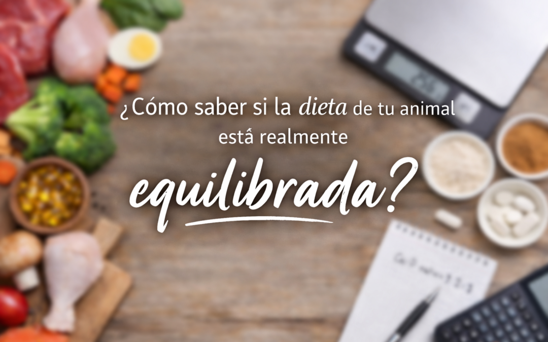 ¿Cómo saber si la dieta de tu animal está realmente equilibrada?